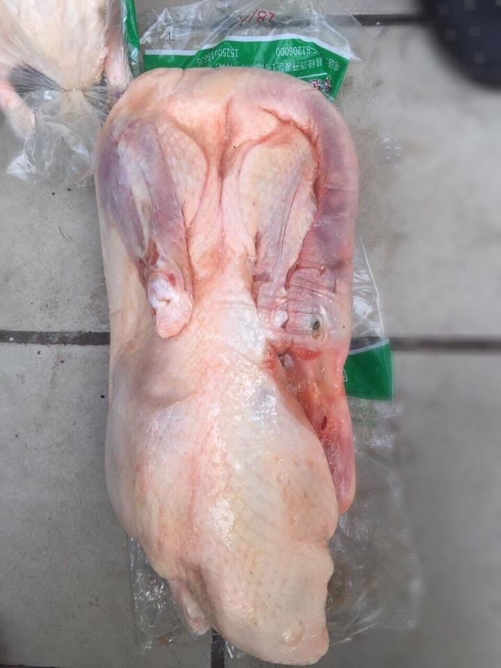 Vịt Trung Quốc đông lạnh cả năm không hỏng, rủ nhau mua hàng trăm con-2