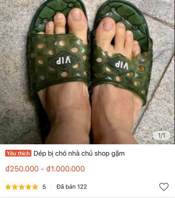 Đôi dép rách chó nhà gặm bán 1 triệu đồng-1