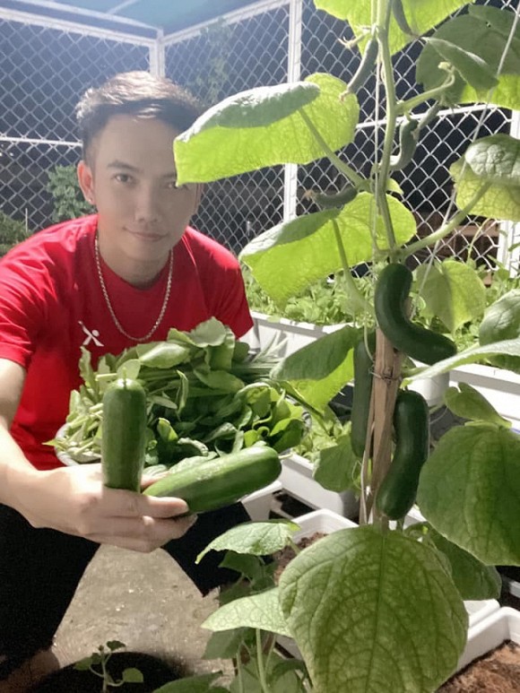 Khu vườn trĩu trái trên sân thượng của ca sĩ Phạm Trưởng-3