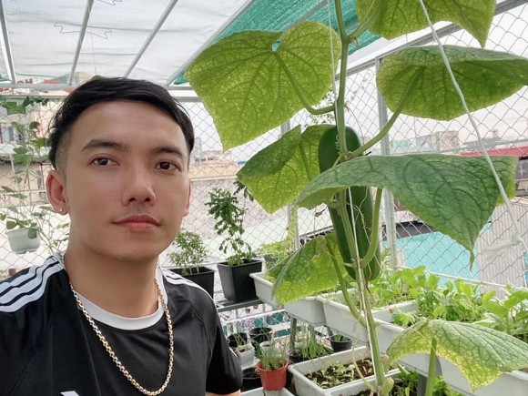 Khu vườn trĩu trái trên sân thượng của ca sĩ Phạm Trưởng-4