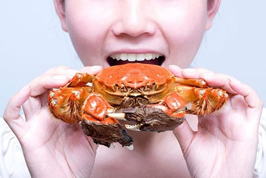 Đi tắm biển, ăn đồ biển, cần tránh xa những loại hải sản và sinh vật biển cực độc có thể gây chết người này