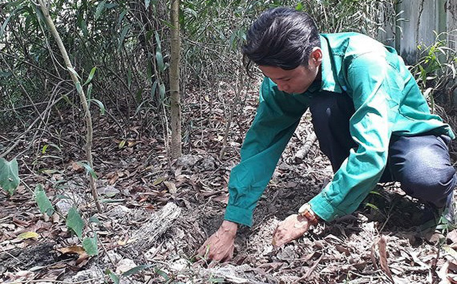 Thi thể thai nhi đang phân hủy được công nhân phát hiện khi phân loại rác tại nhà máy-1