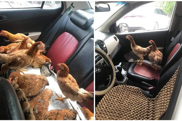 Dân mạng tái mặt&nbsp;nhìn hóa đơn tiền điện tháng này tăng phi mã: Nóng nữa chắc lên công ty ngủ!-9