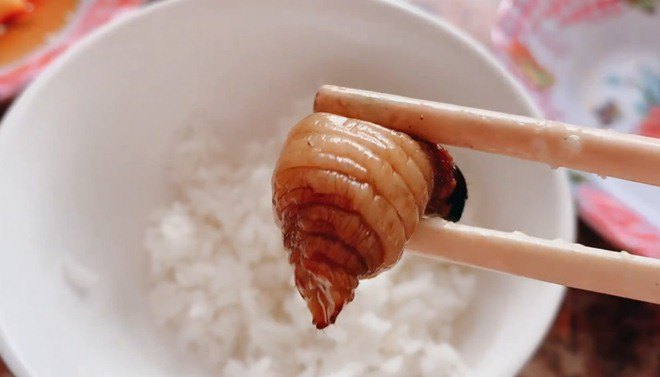 Là nam nhi đại trượng phu nhưng Lý Hải lại sợ hãi món ăn này, thua cả cô con gái-10