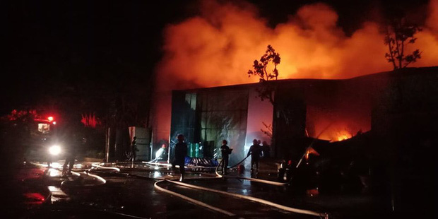 Cháy lớn nhà xưởng 200m2 sát bên Viện Điều tra, quy hoạch rừng ở Hà Nội-1