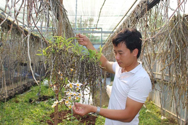 Sài Gòn: Mẹ đảm xây dựng cả một  trang trại trên không, đủ cả rau sạch, gà sạch đến hoa đẹp trên sân thượng của gia đình-43