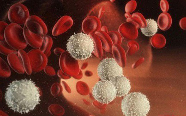 Dạng ung thư máu MC Diệu Linh mắc phải phổ biến nhất trong 3 dạng ung thư máu, gây tổn hại hệ miễn dịch-4