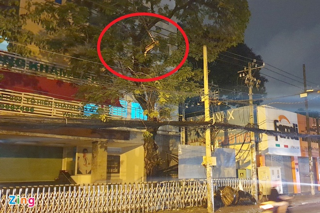 Cây xanh gãy nhánh đè chết người ở TP.HCM-1