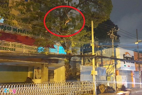 Cây xanh gãy nhánh đè chết người ở TP.HCM