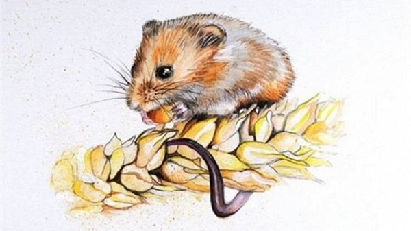 Điểm danh những con giáp may mắn nhất tuần tới, gánh lộc về nhà, tìm được cơ hội phát tài-1