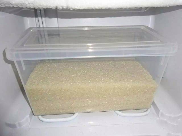 Mua nhiều gạo về, cho ngay thứ này vào đảm bảo không mốc, mọt để được cả năm-1