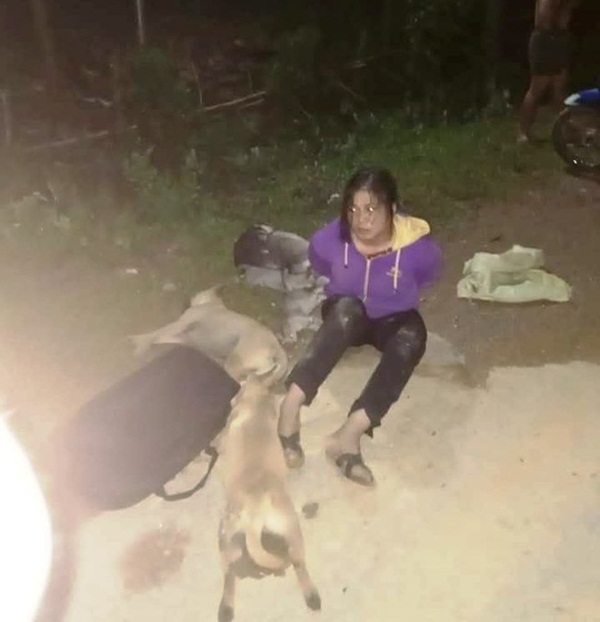 Chó mèo bị đánh bả chết la liệt” trong đêm, dân vây bắt đôi nam nữ thủ phạm-1
