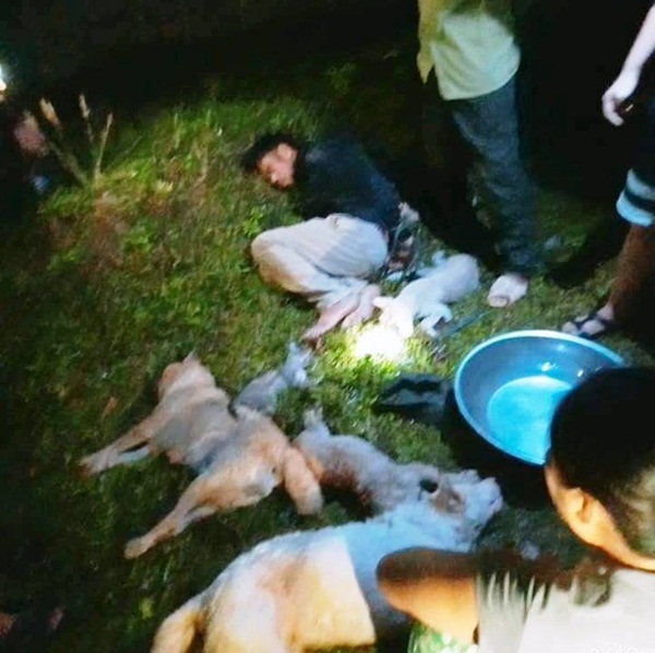 Chó mèo bị đánh bả chết la liệt” trong đêm, dân vây bắt đôi nam nữ thủ phạm-2