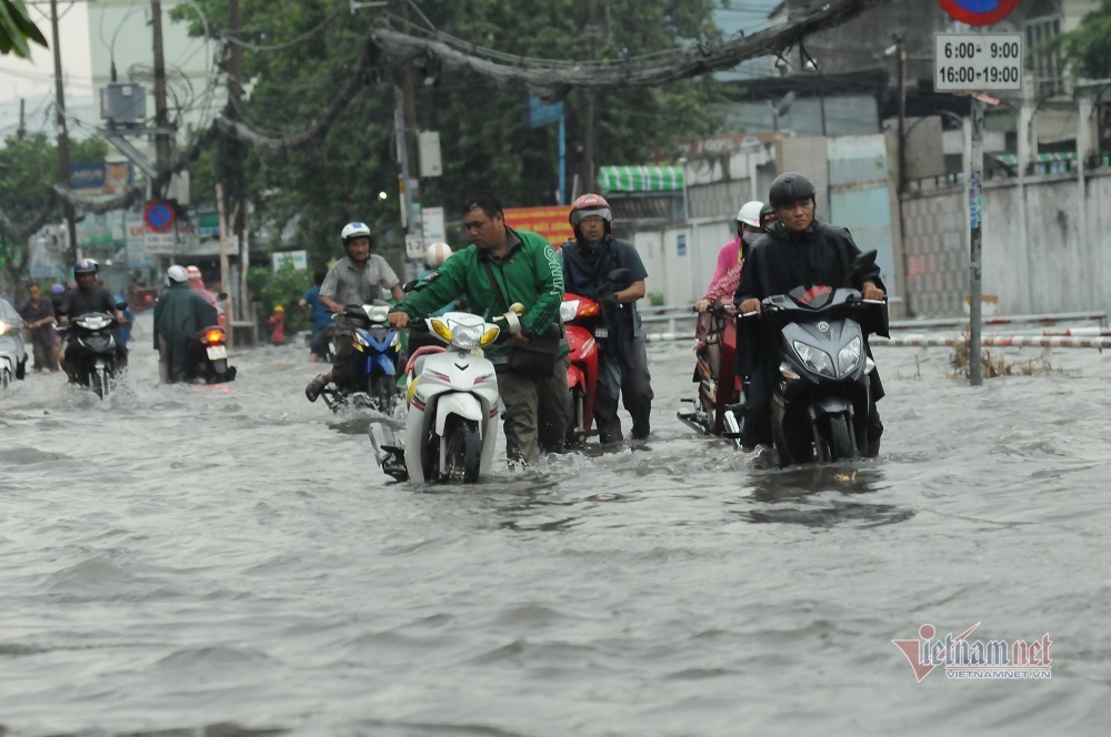 Dự báo thời tiết 15/6, mưa to ở cả miền Bắc và miền Nam-1