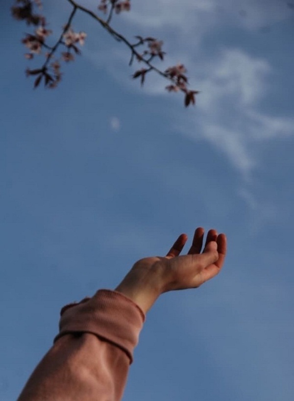 Tử vi tuần mới 12 con giáp từ ngày 15/6 đến 21/6/2020: Tý được khen ngợi, Dần vạn sự hanh thông-3