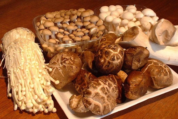 Mẹo chọn nấm tươi ngon, an toàn sức khỏe-1