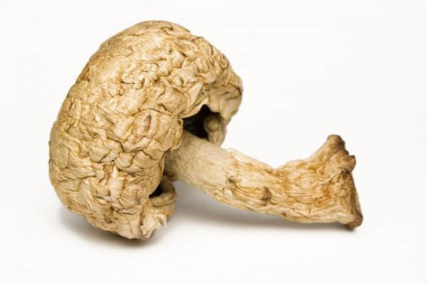 Mẹo chọn nấm tươi ngon, an toàn sức khỏe-2