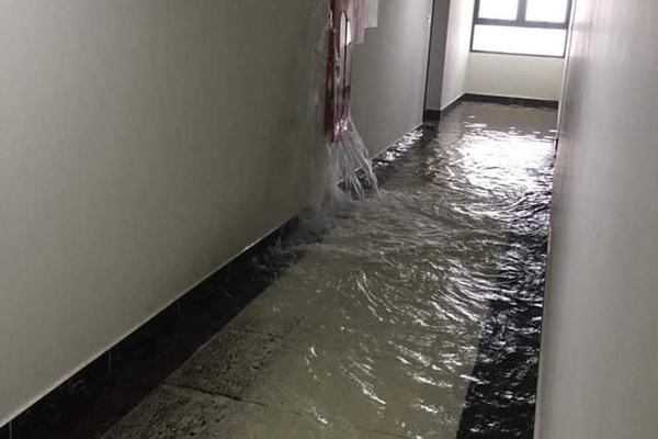 Mưa lớn, dân chung cư cũng tát nước như ở nhà phố-7