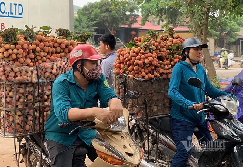 Mỗi năm 1 mùa trắng đêm, đại gia chân đất chia nhau đếm 4.000 tỷ-2