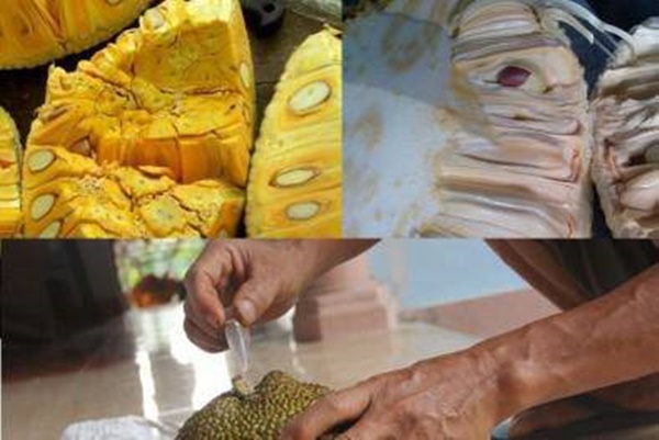 Không ngờ đây là 4 thủ phạm chính khiến con bạn dậy thì sớm và hậu quả thật khủng khiếp-3