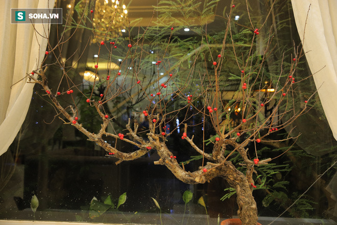 Hé lộ biệt thự 20 tỷ đồng, nhiều cây xanh ở khu nhà giàu của ca sĩ Quang Hà-6