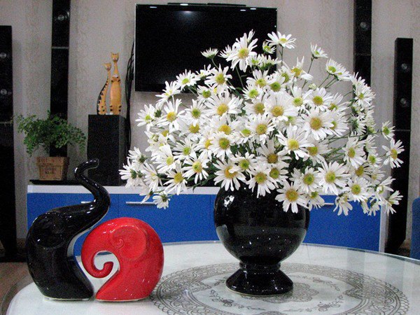 7 loại hoa đẹp hợp để phòng khách, hút tài lộc, không sớm thì muộn cũng giàu sang-4