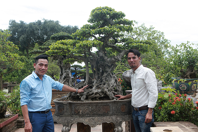 Báu vật 7 tỷ ở Hà Nội chưa công khai khiến dân chơi tò mò-13