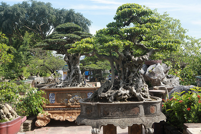 Báu vật 7 tỷ ở Hà Nội chưa công khai khiến dân chơi tò mò-2
