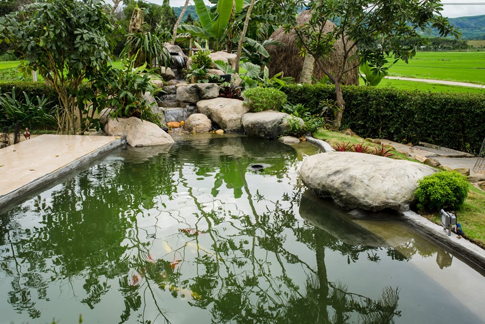 Đẹp giản dị ngôi nhà cấp 4 với chi phí 650 triệu con trai kiến trúc sư xây tặng cha mẹ dưỡng già ở Quảng Nam-7