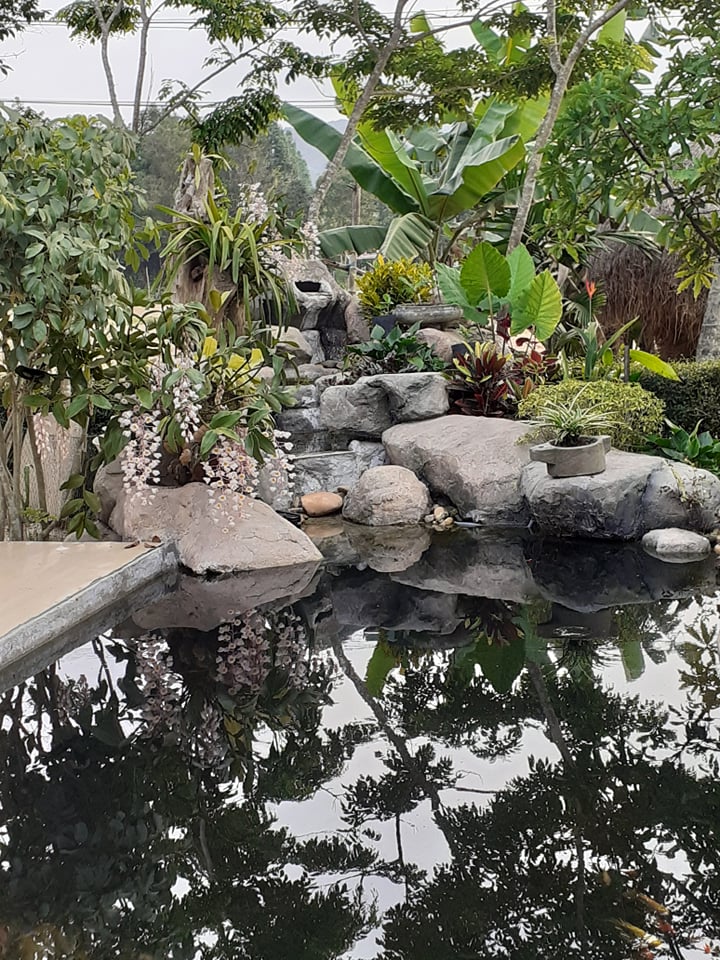 Đẹp giản dị ngôi nhà cấp 4 với chi phí 650 triệu con trai kiến trúc sư xây tặng cha mẹ dưỡng già ở Quảng Nam-10