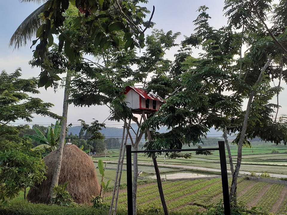 Đẹp giản dị ngôi nhà cấp 4 với chi phí 650 triệu con trai kiến trúc sư xây tặng cha mẹ dưỡng già ở Quảng Nam-12