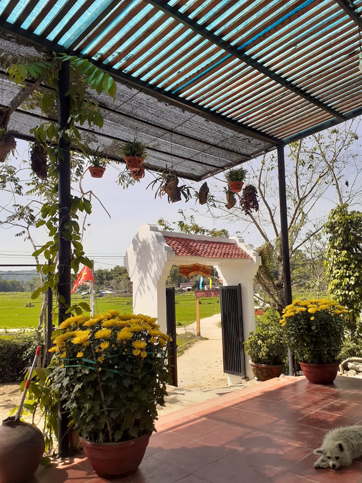 Đẹp giản dị ngôi nhà cấp 4 với chi phí 650 triệu con trai kiến trúc sư xây tặng cha mẹ dưỡng già ở Quảng Nam-13