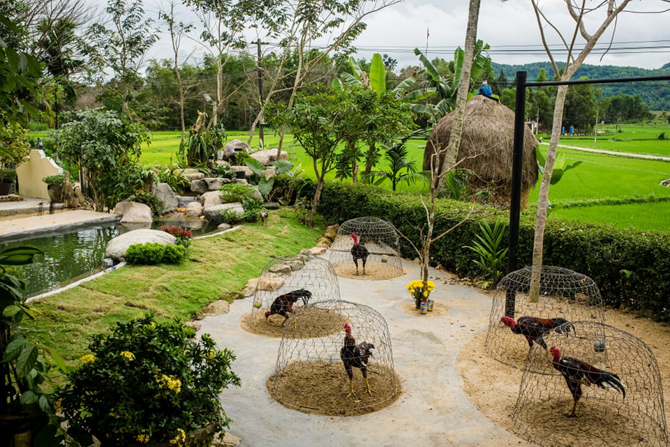 Đẹp giản dị ngôi nhà cấp 4 với chi phí 650 triệu con trai kiến trúc sư xây tặng cha mẹ dưỡng già ở Quảng Nam-14