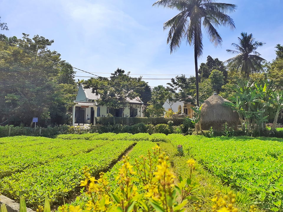 Đẹp giản dị ngôi nhà cấp 4 với chi phí 650 triệu con trai kiến trúc sư xây tặng cha mẹ dưỡng già ở Quảng Nam-16