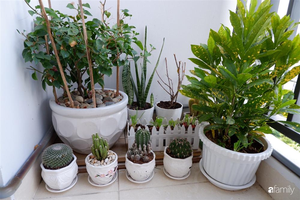 Căn hộ 80m² với phong cách vintage và bộ sưu tập hàng trăm búp bê của cô giáo dạy đàn ở thành phố biển Nha Trang-29