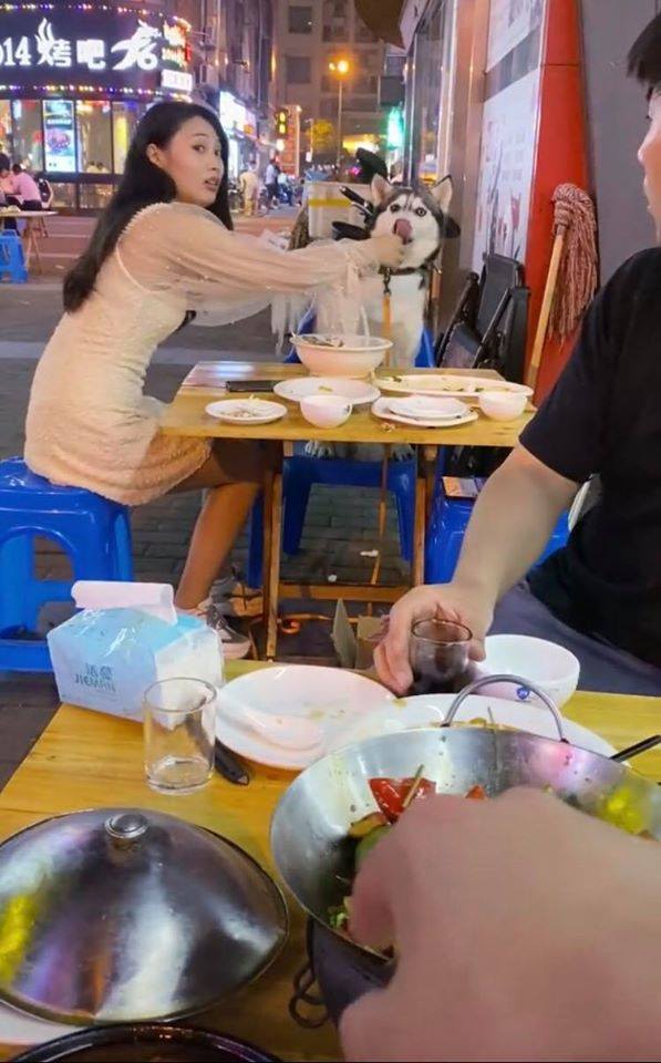 Đùa nghịch với chó lạ, cô gái phớt lờ cảnh báo của người chủ và cái kết ê chề giữa quán-1