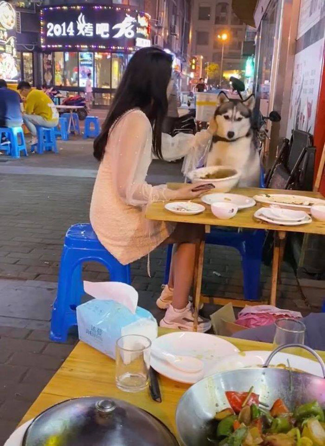 Đùa nghịch với chó lạ, cô gái phớt lờ cảnh báo của người chủ và cái kết ê chề giữa quán-3