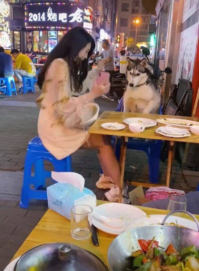 Đùa nghịch với chó lạ, cô gái phớt lờ cảnh báo của người chủ và cái kết ê chề giữa quán-5