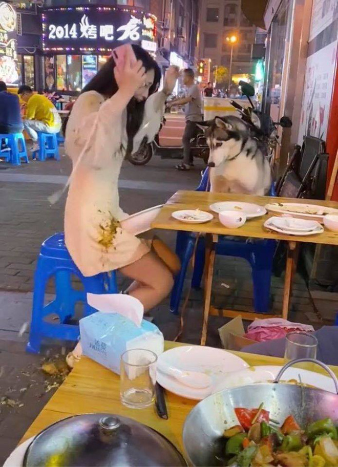 Đùa nghịch với chó lạ, cô gái phớt lờ cảnh báo của người chủ và cái kết ê chề giữa quán-6