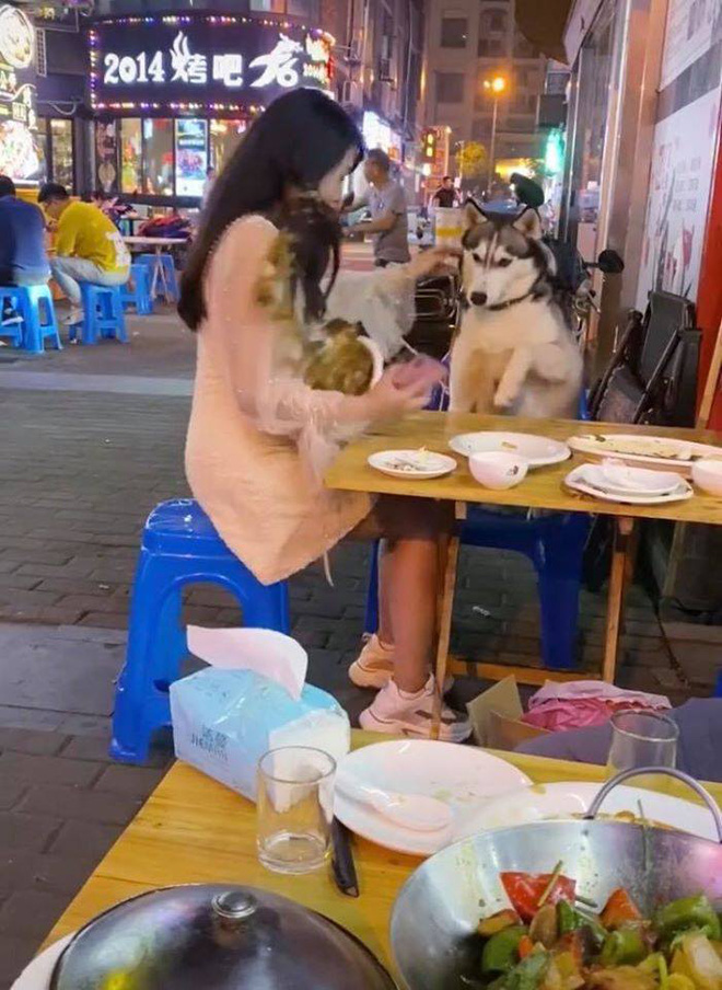 Đùa nghịch với chó lạ, cô gái phớt lờ cảnh báo của người chủ và cái kết ê chề giữa quán-7