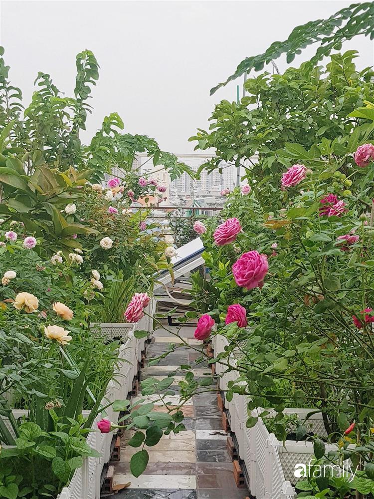 Sài Gòn: Mẹ đảm xây dựng cả một  trang trại trên không, đủ cả rau sạch, gà sạch đến hoa đẹp trên sân thượng của gia đình-1