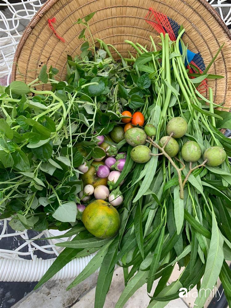 Sài Gòn: Mẹ đảm xây dựng cả một  trang trại trên không, đủ cả rau sạch, gà sạch đến hoa đẹp trên sân thượng của gia đình-15