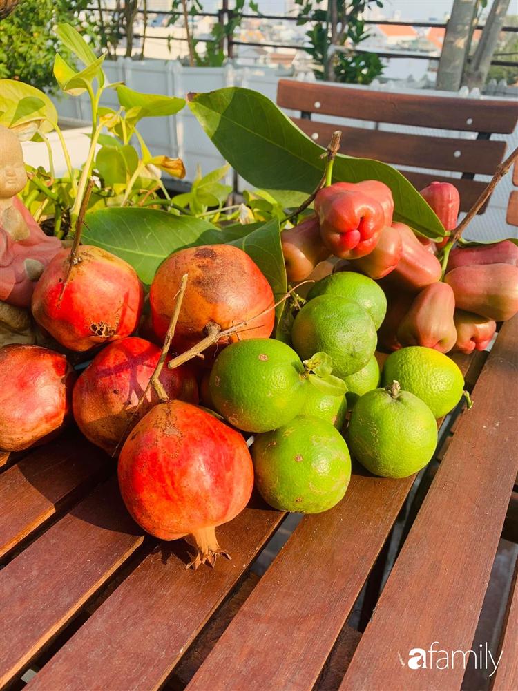 Sài Gòn: Mẹ đảm xây dựng cả một  trang trại trên không, đủ cả rau sạch, gà sạch đến hoa đẹp trên sân thượng của gia đình-19