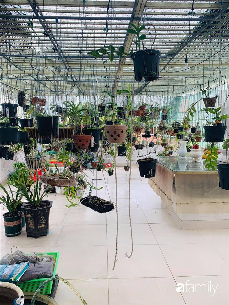 Sài Gòn: Mẹ đảm xây dựng cả một  trang trại trên không, đủ cả rau sạch, gà sạch đến hoa đẹp trên sân thượng của gia đình-38