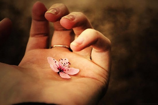 Tử vi thứ Tư ngày 17/6/2020 của 12 con giáp: Dần sức khỏe sa sút, Mão cẩn thận thị phi