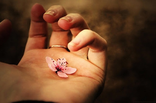 Tử vi thứ Tư ngày 17/6/2020 của 12 con giáp: Dần sức khỏe sa sút, Mão cẩn thận thị phi-4