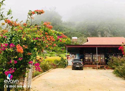 Bỏ phố lên rừng”, vợ chồng 8X đến Mộc Châu dựng nhà sàn, trồng lúa nương trong vườn 5000m²-1