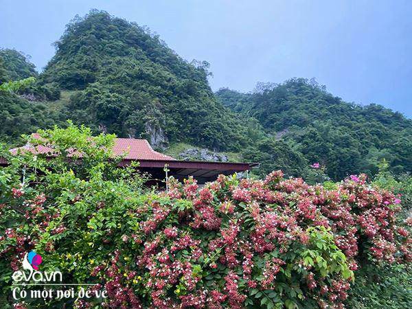 Bỏ phố lên rừng”, vợ chồng 8X đến Mộc Châu dựng nhà sàn, trồng lúa nương trong vườn 5000m²-19