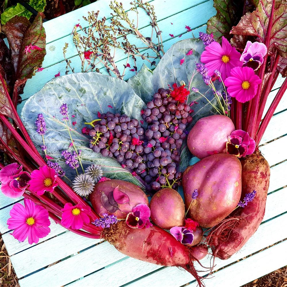 Khu vườn 225m² trồng toàn rau hữu cơ xanh tốt nhờ bí quyết dễ làm của bà mẹ trẻ đảm đang-18