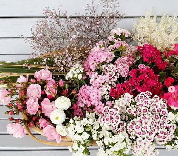 Khu vườn 225m² trồng toàn rau hữu cơ xanh tốt nhờ bí quyết dễ làm của bà mẹ trẻ đảm đang-26